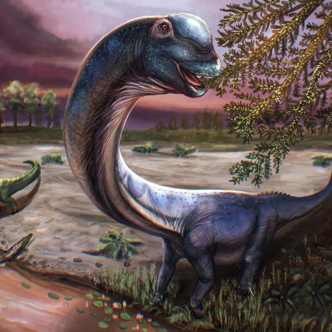 Artist reconstruction of the Cretaceous Period sauropod dinosaur Nagatitan chaiyaphumensis, whose fossils were unearthed in Thailand, seen in this illustration released on May 14, 2026.