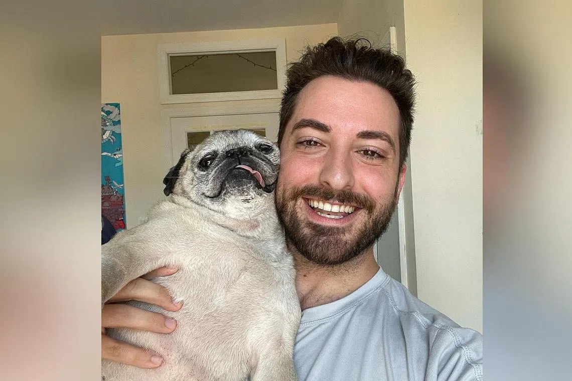 TikTok star Noodle the pug died on Dec 2 at age 14, said his owner, Mr Jonathan Graziano.
