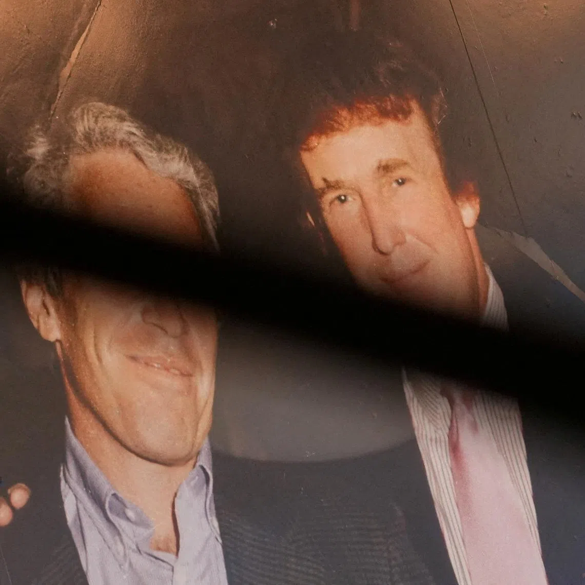 Jeffrey Epstein (left) moved in elite circles, with figures Donald Trump flying on his private jet at different times.