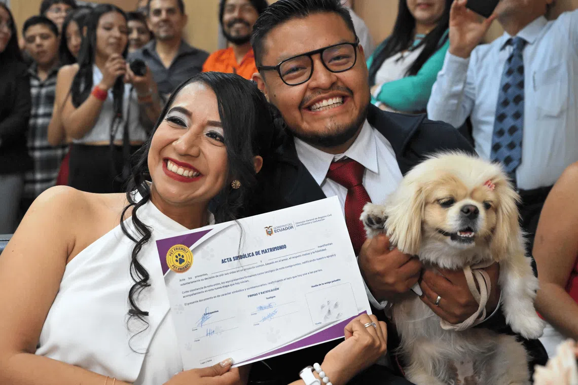 Pet owners show the symbolic marriage certificate with their pet’s “signature” after their wedding at the central civil registry office in Quito on July 7.