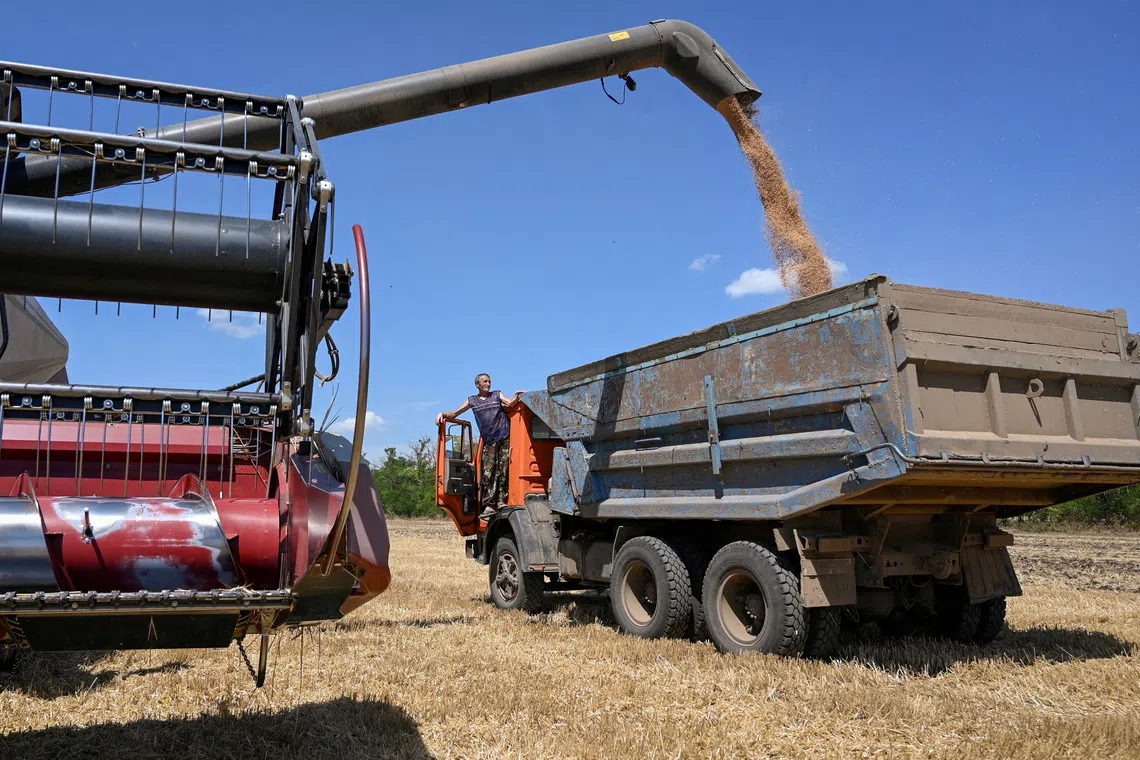 FILE PHOTO: A combine loads a truck with wheat during harvesting in a field in the Rostov region, Russia, July 14, 2026.  REUTERS/Sergey Pivovarov/File Photo