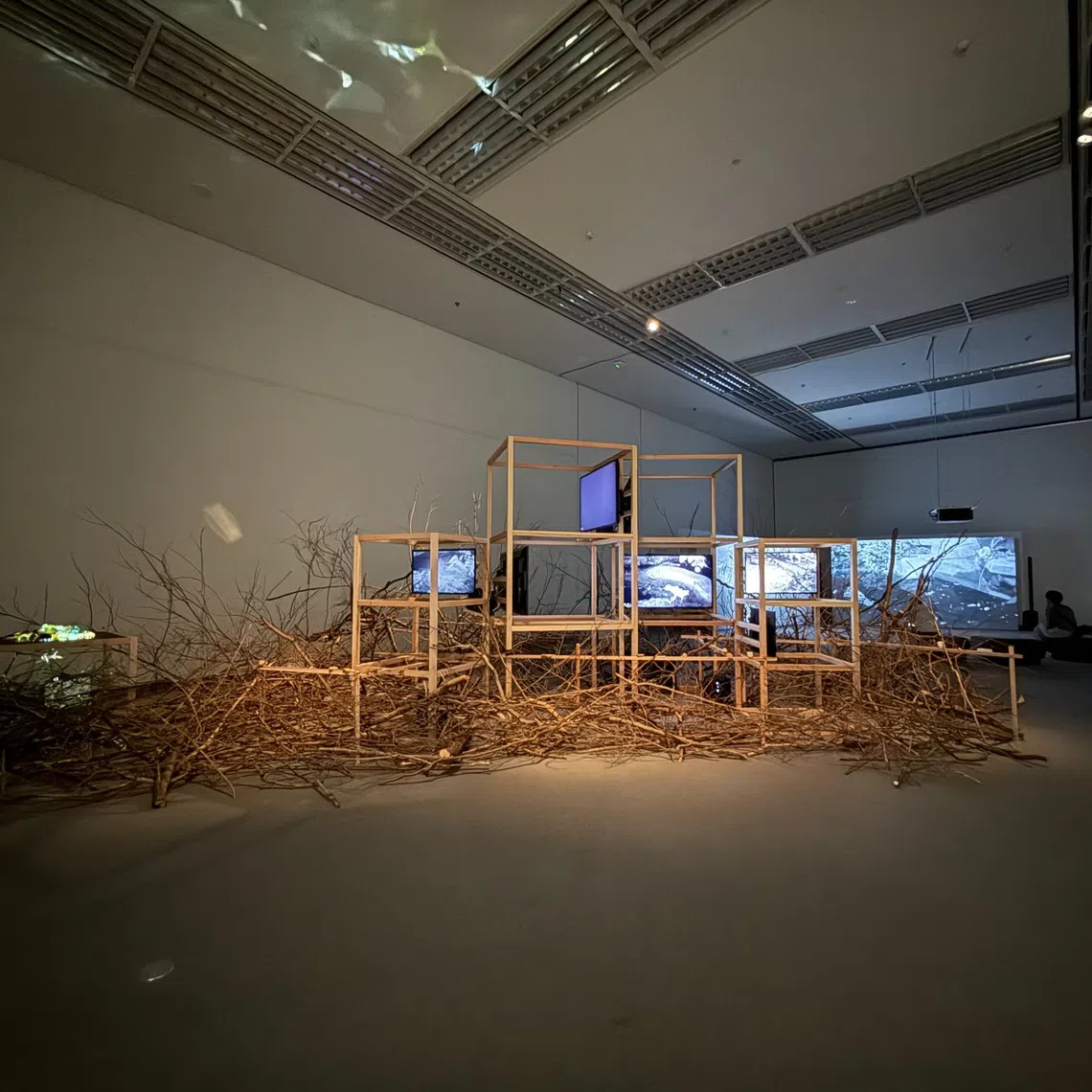 Robert Zhao Renhui’s Seeing Forest at Aichi Arts Center. 