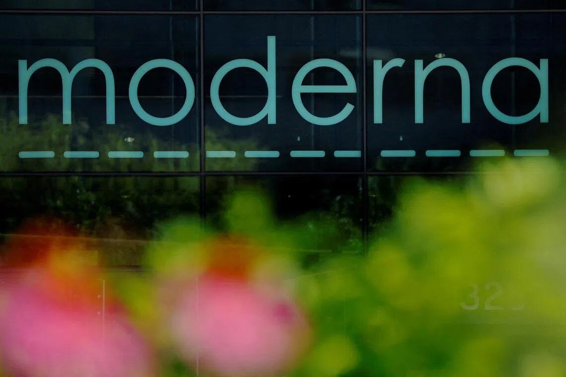 The word "moderna" is visible on a dark glass facade with blurred flowers in the foreground.