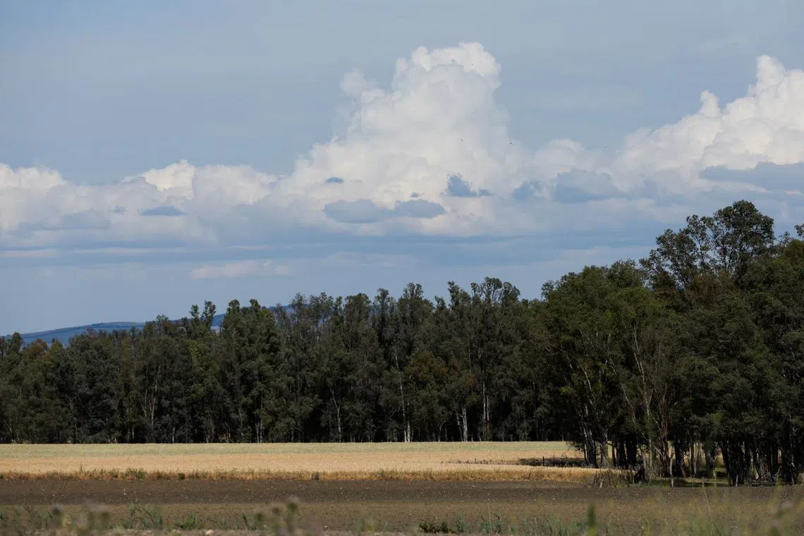 Spain asked the European Union for emergency funds to help the country’s farmers grapple with a severe drought threatening crops.