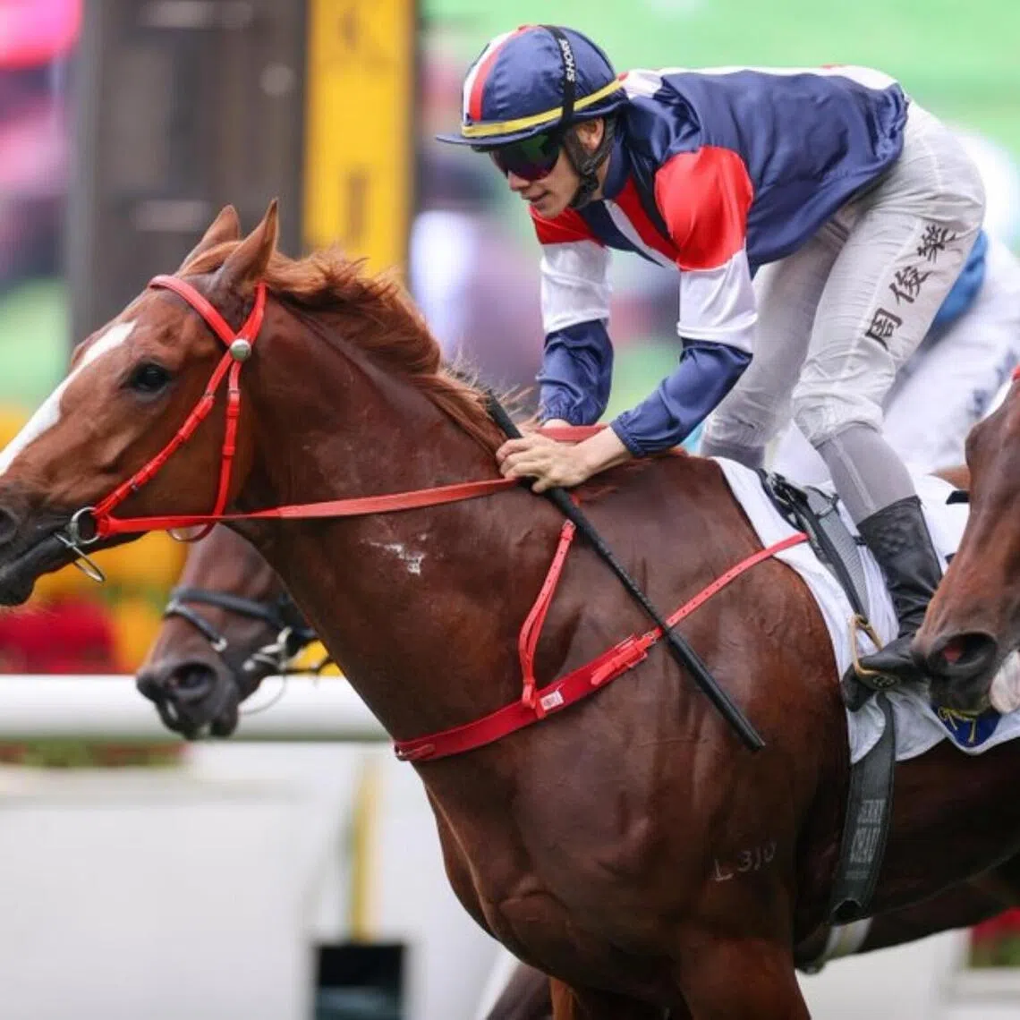 The Frankie Lor-trained Effortless Win (Jerry Chau) scoring on debut in a Class 3 over 1,200m at Sha Tin on May 9. 