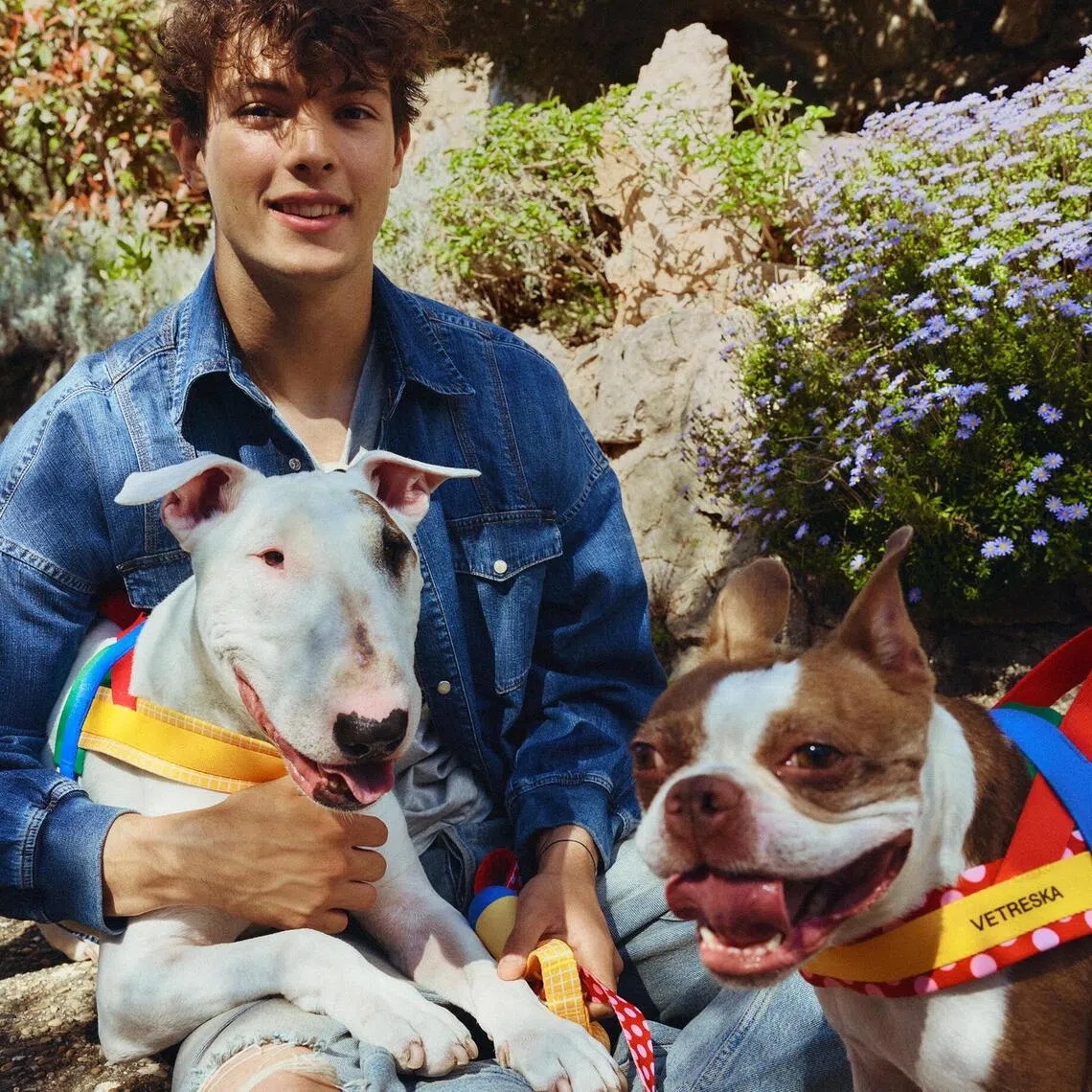 British F1 racer Ollie Bearman and his dogs Freddie (left), an English bull terrier, and Ruby, a Boston terrier.