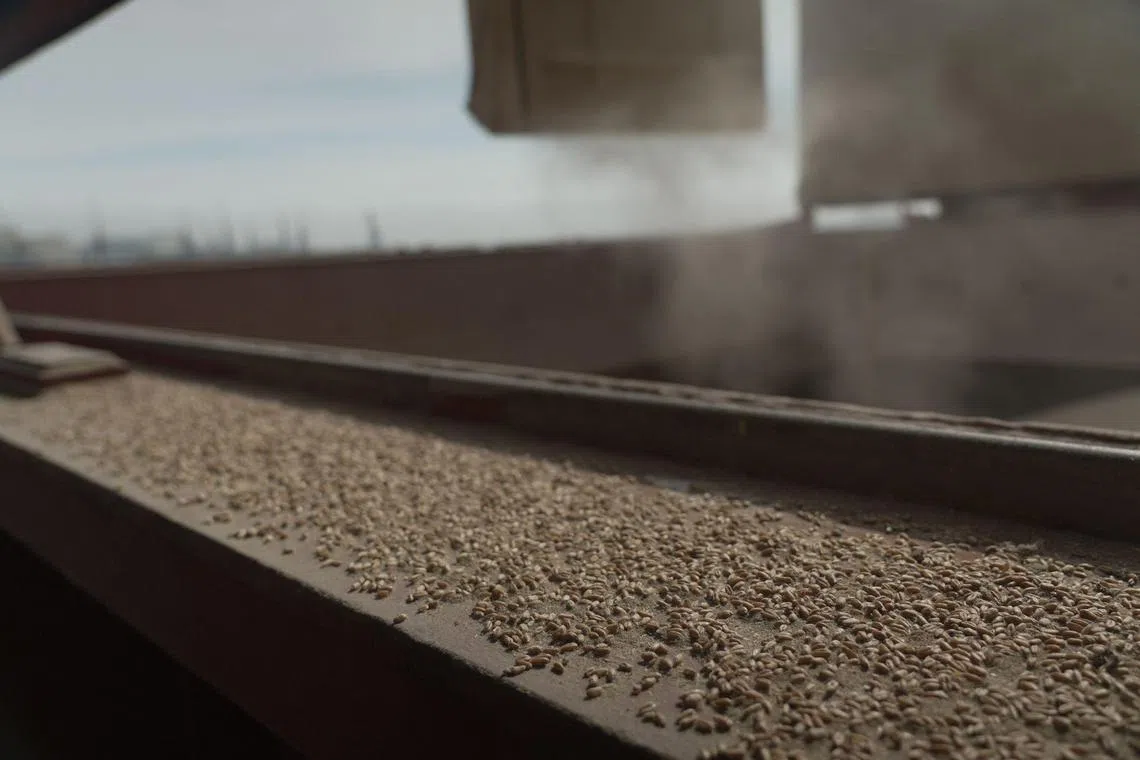 The deal was brokered by the UN and Turkey last July with Russia and Ukraine to try to ease a global good crisis.