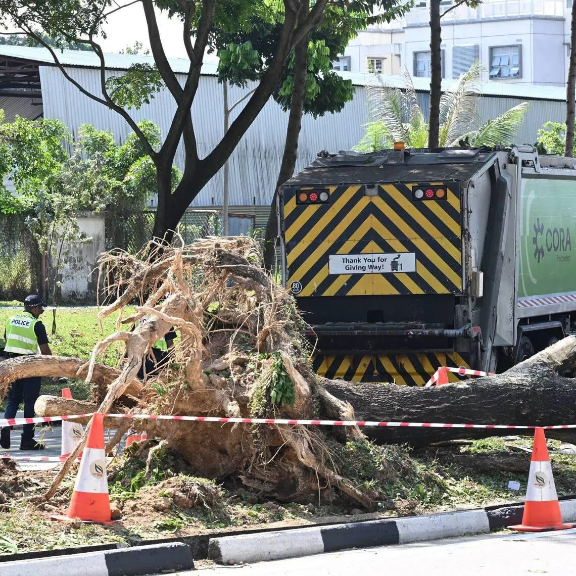 The accident, which involved a truck from waste management company Cora Environment, happened near the junction of Hougang Avenue 3 and Hougang Street 12.