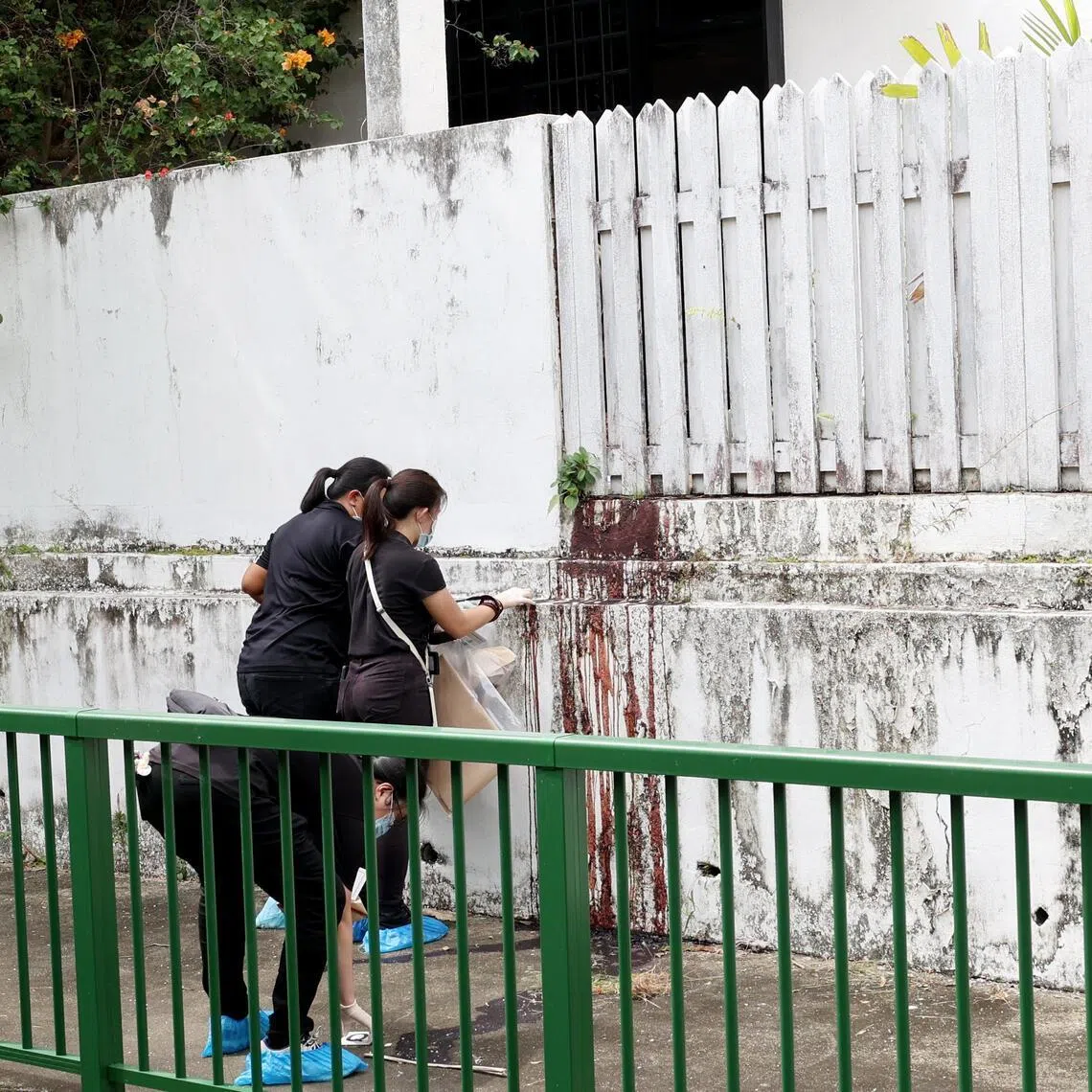 The police prosecutor asked for Panneer to be remanded for one week for the police to complete their investigations.