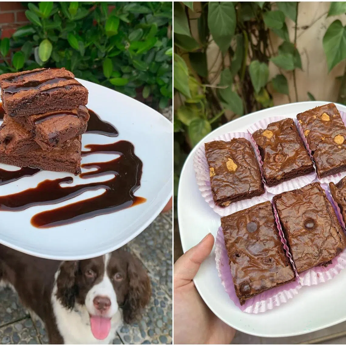 Ms Megan Gay's customer base largely consists of students who are her friends and friends of friends.