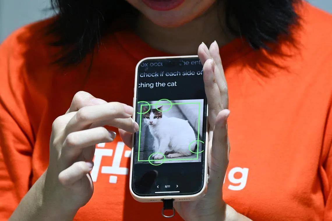 ST20241011-202426400874-Lim Yaohui-Osmond Chia-ocapp21/
Ms Chong Han Lyn, 28, community manager from Tictag, showing instructions on the app for a bounding box quality control task, during a tutorial with PWDs to guide them on how to use the app at SPD Ability Centre on Oct 11, 2024.
Tictag, an AI development company, is paying people with disabilities to help train their AI models. The app enlists users to help label images or record voice memos to guide AI models to become more accurate. While open to the public, the startup is targeting PWDs through local NGOs and charities to offer them a source of extra income. More than 20,000 users in the SEA region are using the app, with users earning anywhere up to $1,000 a month.
(ST PHOTO: LIM YAOHUI)