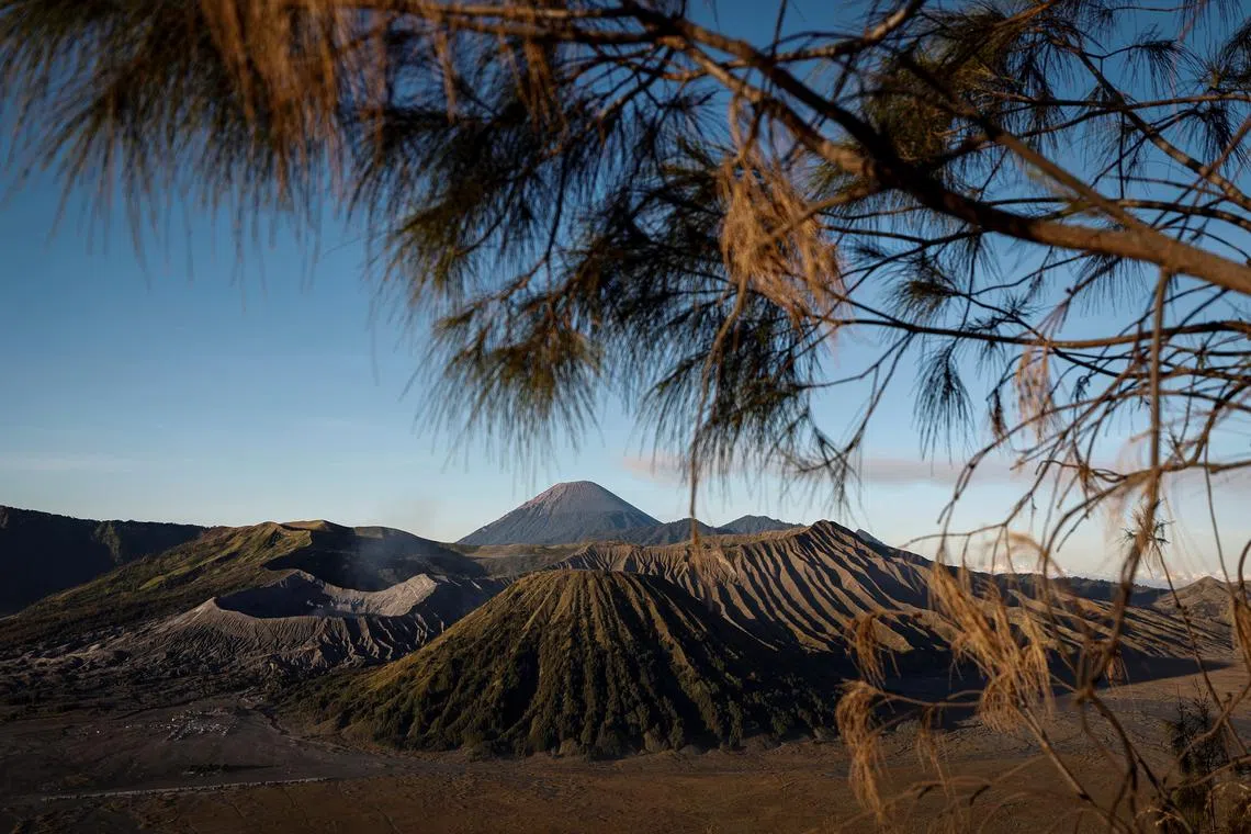 As many as 47 new climate washing cases were filed in 2023 against companies and governments around the globe.