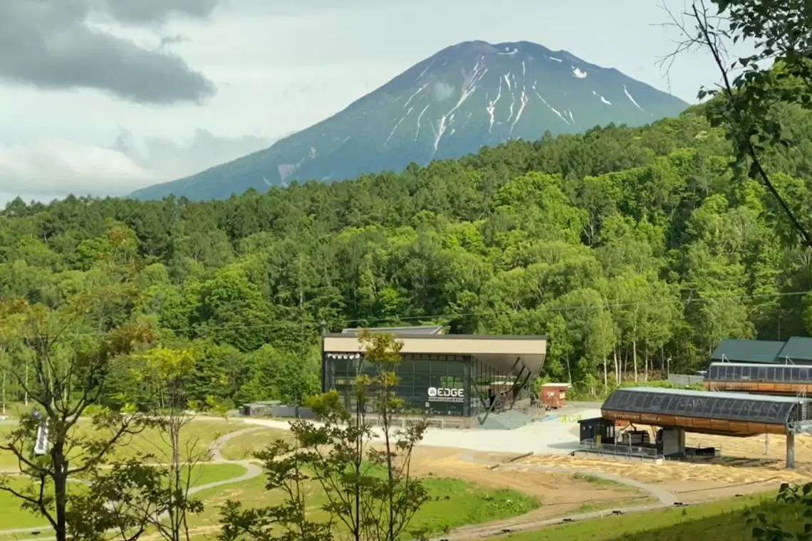 Bear sightings and attacks have been on the rise in Japan.