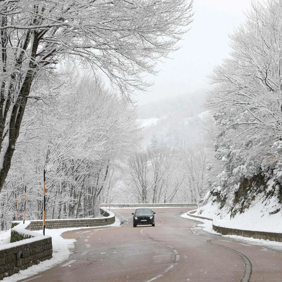 As climate change reshapes travel preferences, cooler destinations are drawing stronger interest from global travellers, especially during summer.