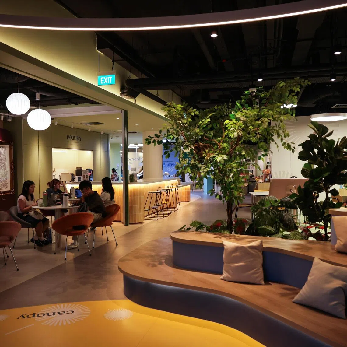 The interior of grovve, a new youth wellness space at *Scape, which has a "no wrong door" design concept intended to help persons with diverse mental health needs.
