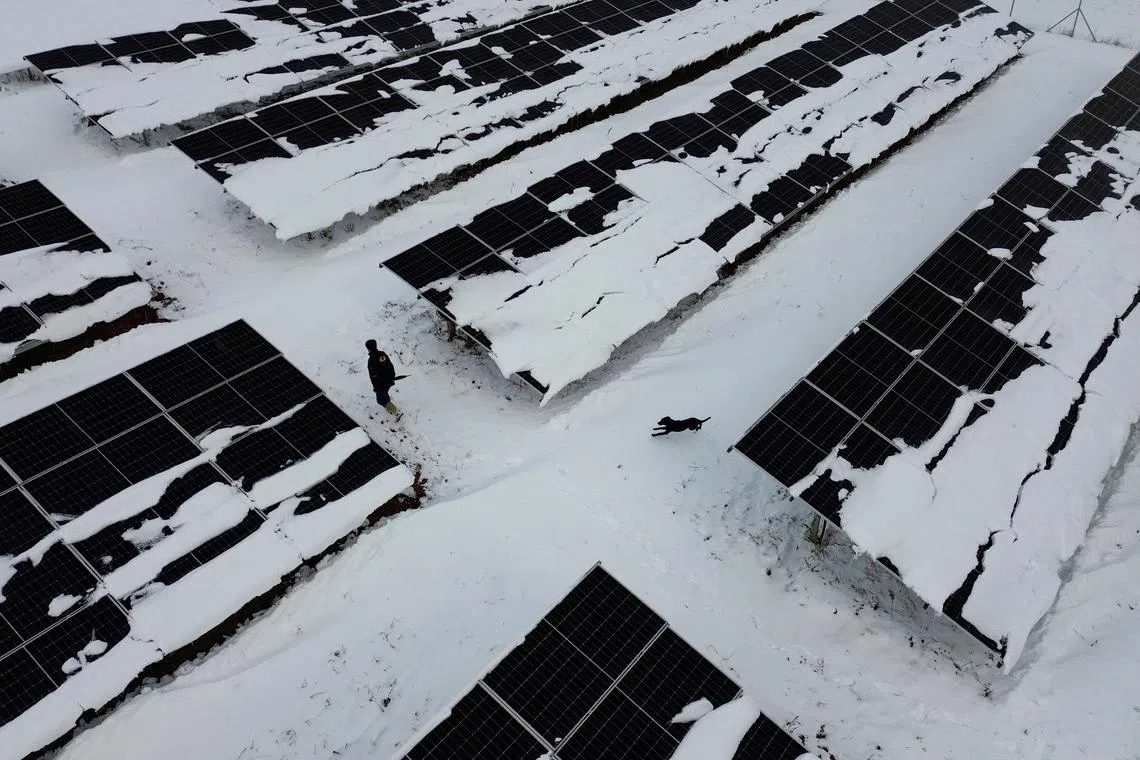 A worker with his dog, walking at a solar park covered with snow at Gracke e Vjeter, Kosovo Nov 26, 2023. 