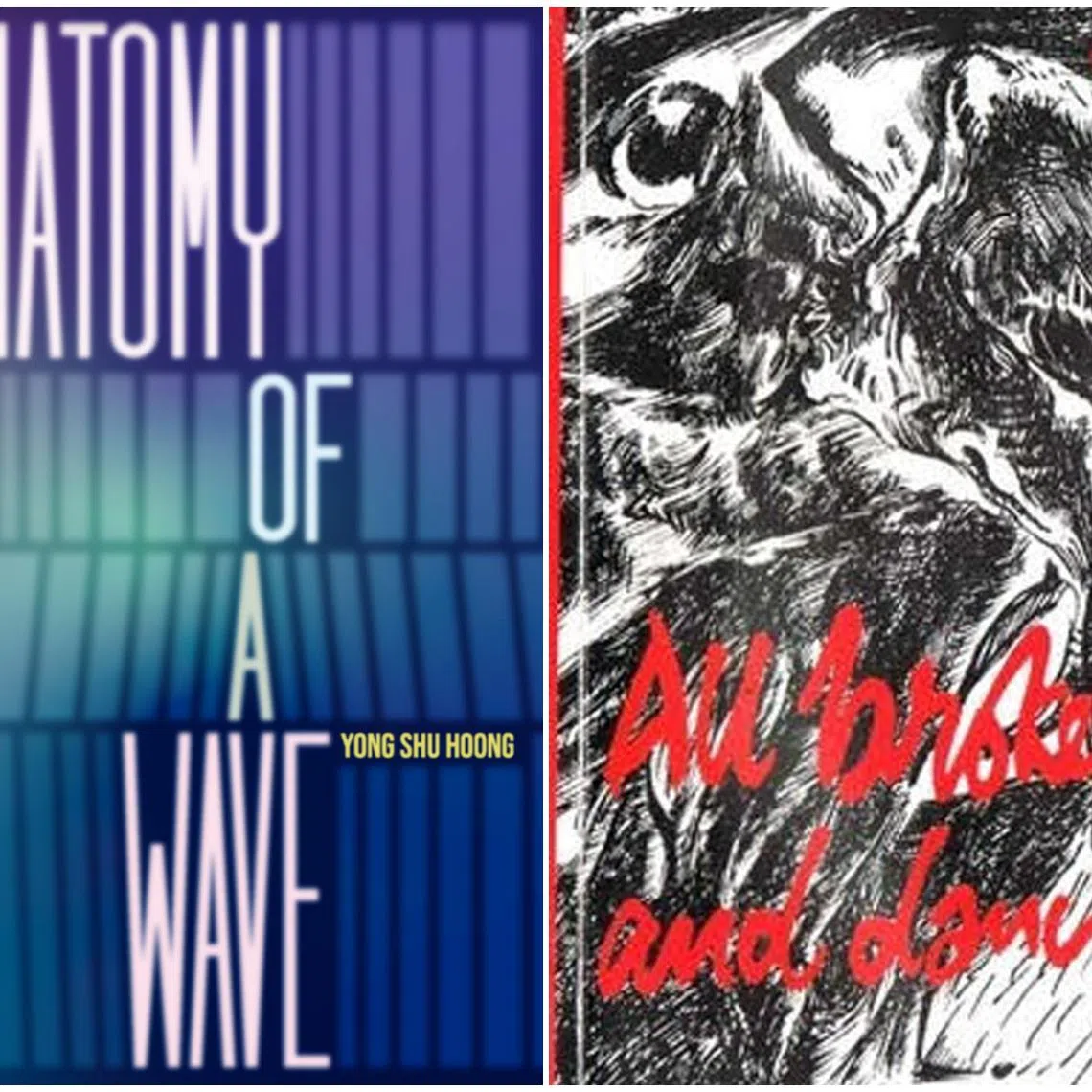 Poet Yong Shu Hoong’s Anatomy Of A Wave (left) and Kelvin Tan's All Broken Up And Dancing. 