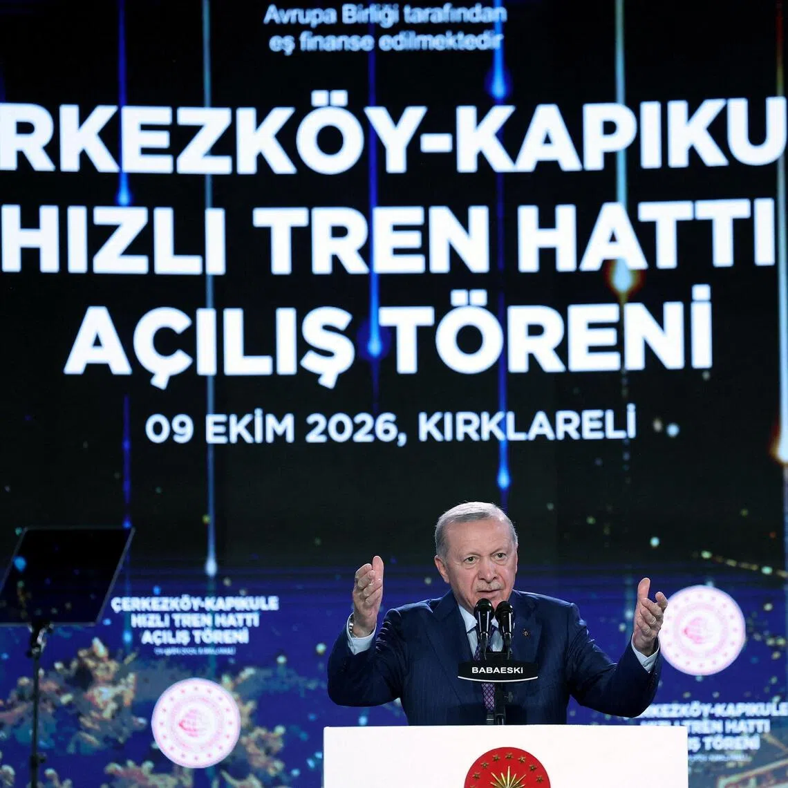 Authorities in Turkey have charged many thousands, from journalists to teenagers and even a former Miss Turkey, for insulting President Recep Tayyip Erdogan.