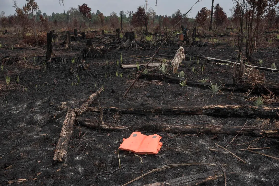 The aftermath of a forest fire in Bengkalis regency in 2019. The emergency status decree was signed by acting Riau governor SF Hariyanto on Feb 13. 