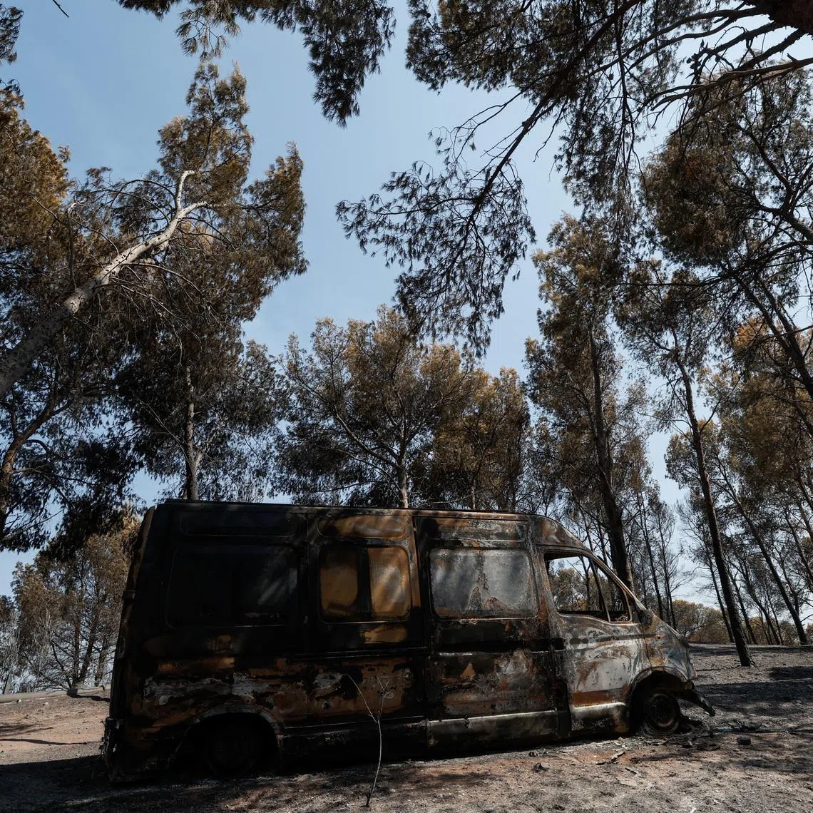 Spain’s government declared a national emergency last week over wildfires that have forced some 60,000 people to flee their homes and consumed 77,000 hectares.