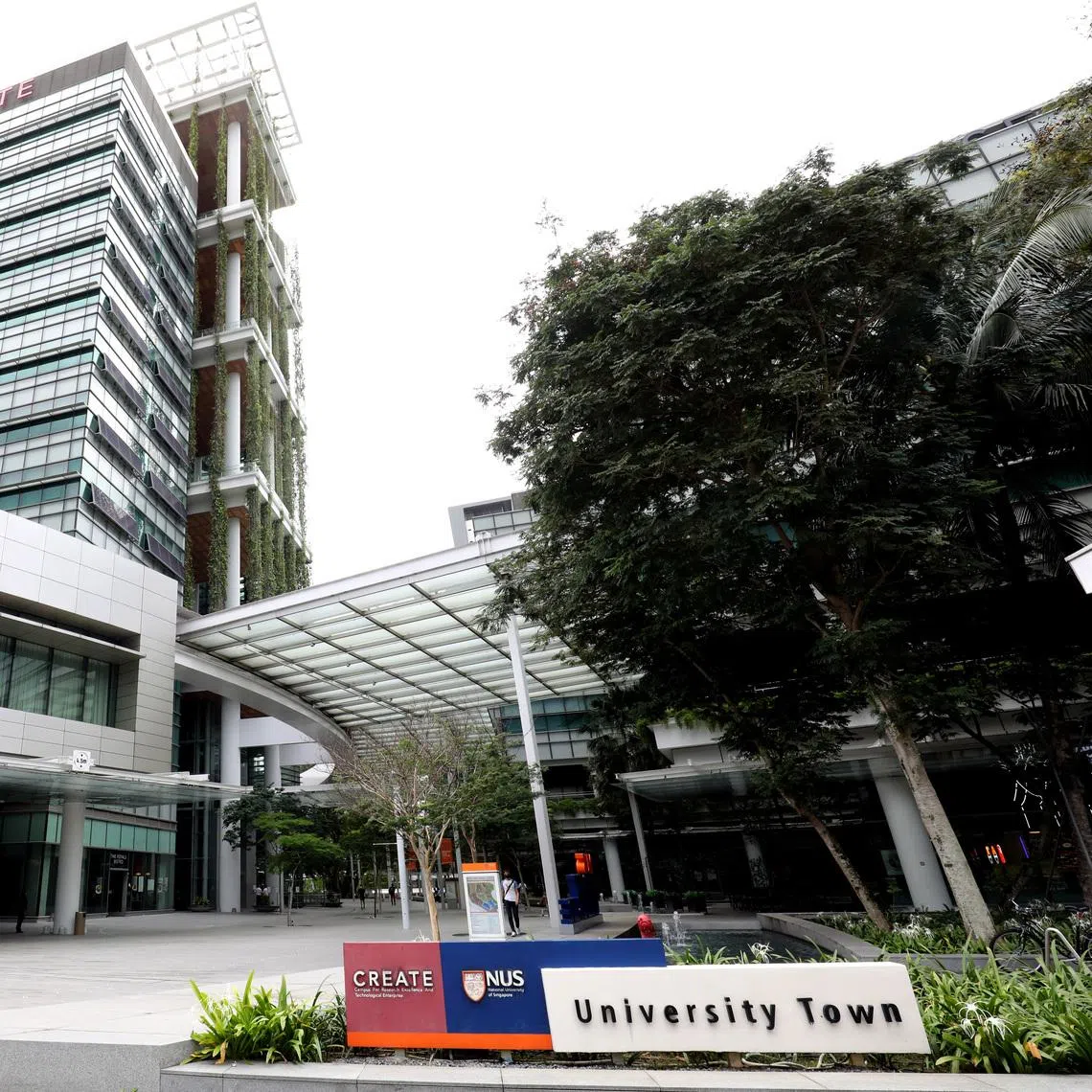 An air-conditioned double room at NUS’ UTown Residence will cost $275.50 per week, up from $255 last year.
