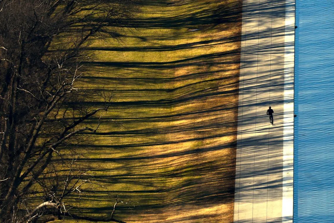 Trees casting long shadows as a jogger makes his way along the National Mall in Washington, DC, US, on Jan 12, 2026.