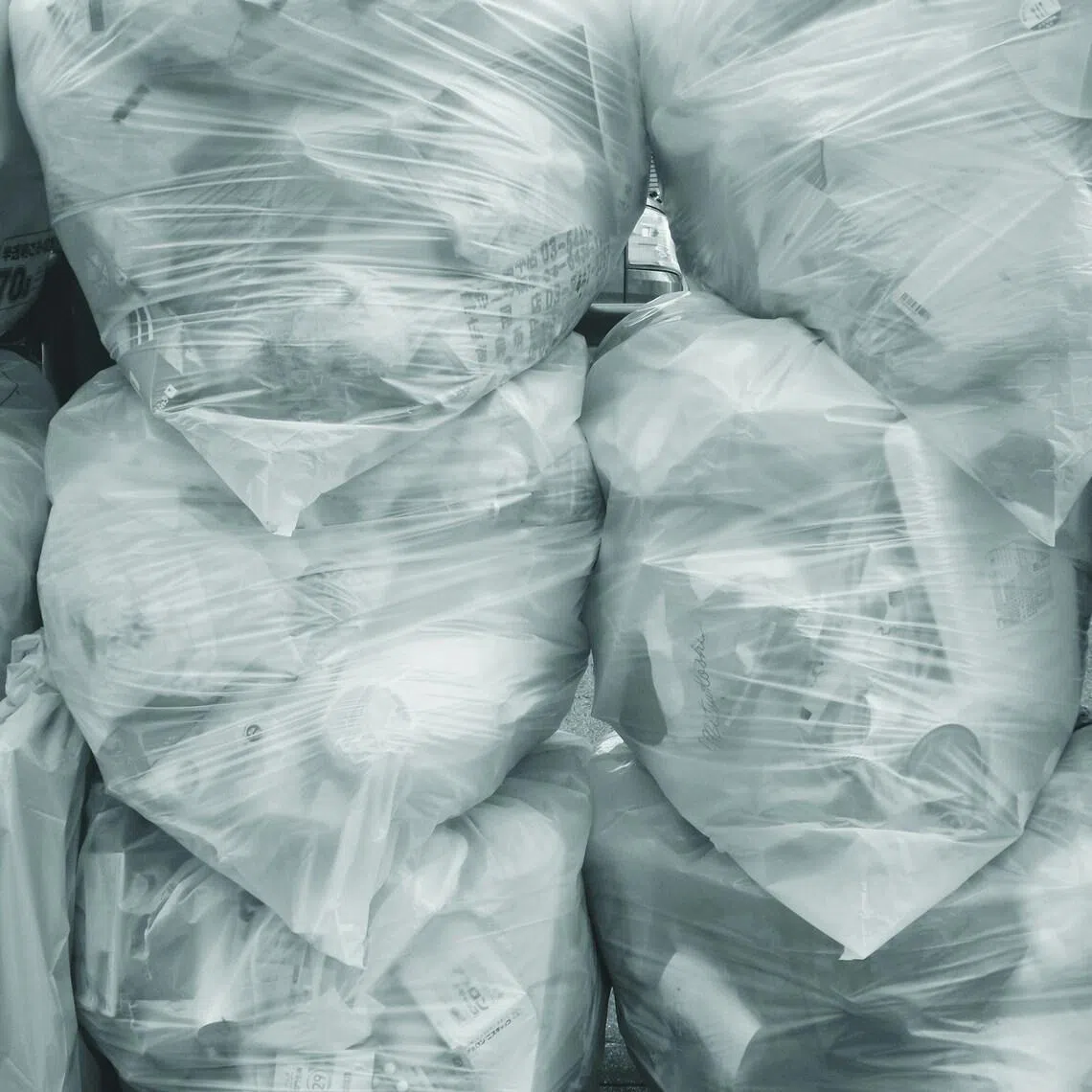 Japan's Environment ministry said about 20 municipalities have taken alternative measures in response to the shortage of designated bags, based on confirmed reports.