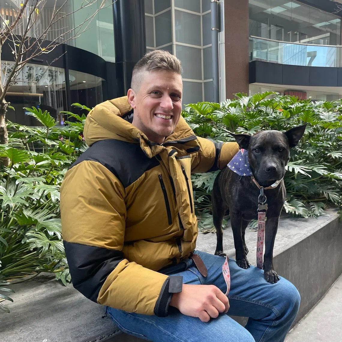 Paul Conyngham used AI to design a personalised experimental treatment for his dog, Rosie.