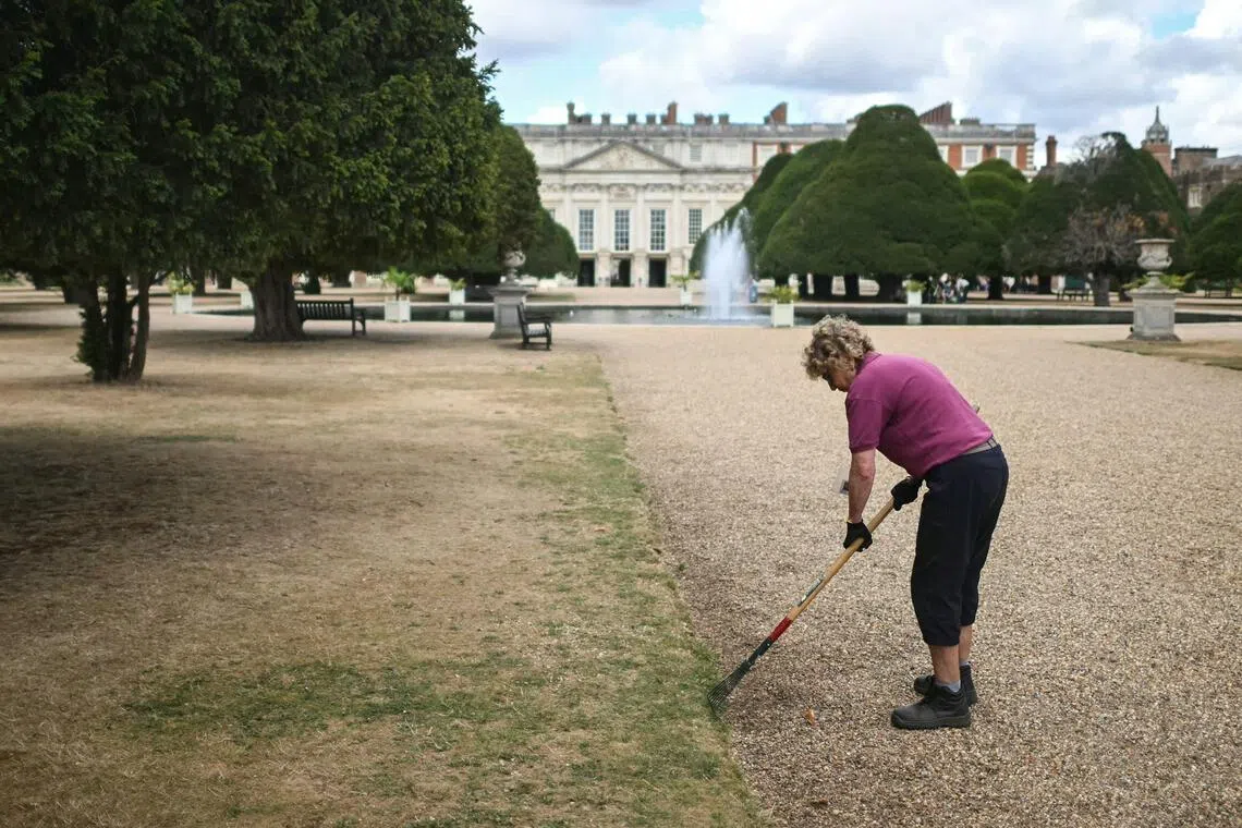 Gardeners say the concern is for the long-term consequences and keeping the spirit of their gardens alive.