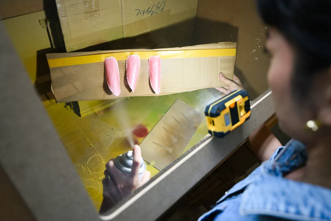 ST20260820-202602000369-Lim Yaohui-yhpeili/ Paper artist Koh Pei Li spraying varnish on the bracts for her Torch Ginger botanical sculpture for Homo Faber 2026 in Venice, inside her studio on Aug 20, 2026.  (ST PHOTO: LIM YAOHUI)