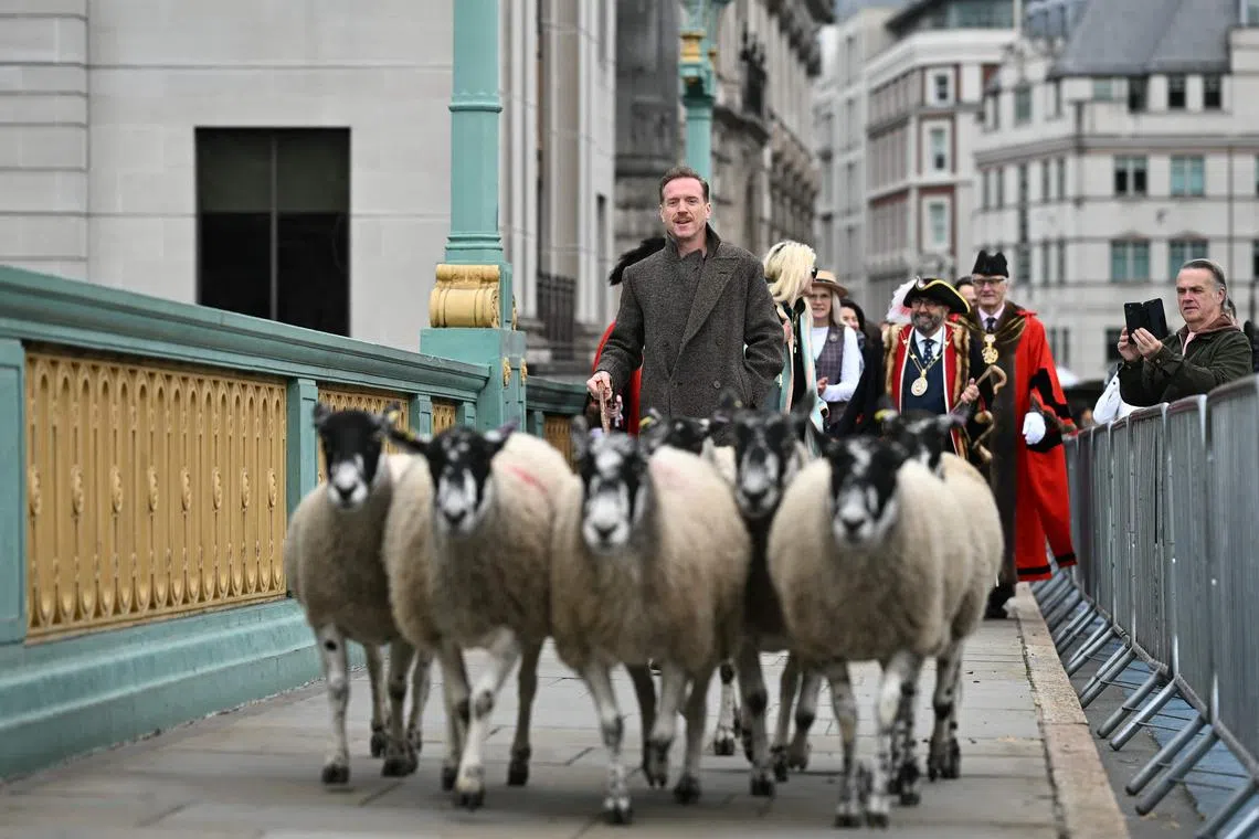 British actor Damian Lewis leads The Worshipful Company of Woolmen, driving sheep across Southward Bridge, on Sept 29.