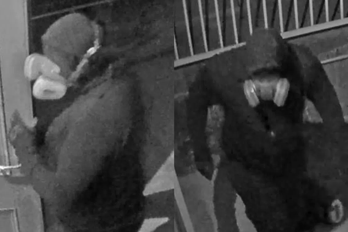 Australian police said the two men broke into Ms Meshilin Marrogi’s crypt in a cemetery in northern Melbourne in the early hours of July 30.