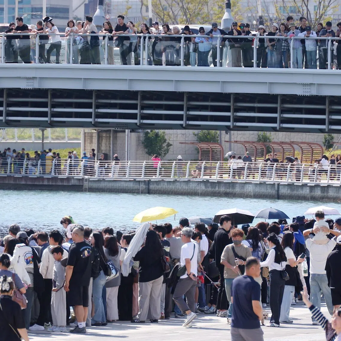 Crowds flock to a waterfront park in Busan on Oct 4 to see a shark remaining in a waterway even after a second rescue attempt.