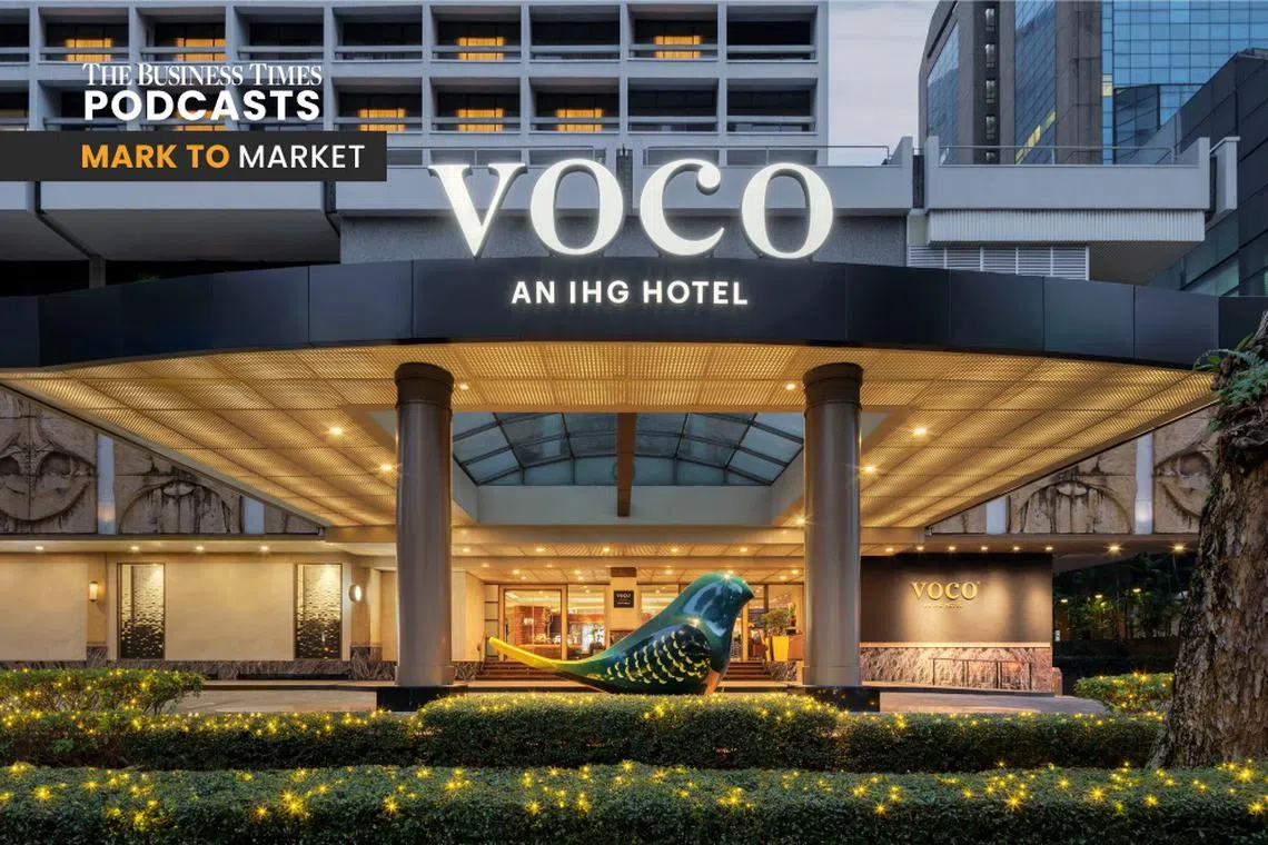 Should investors buy HPL shares? How much higher could the stock climb?