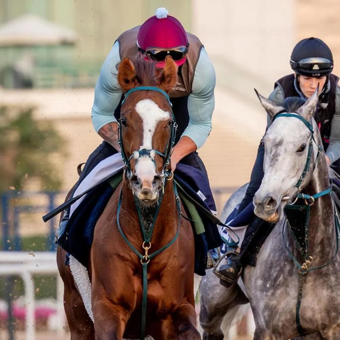 The Dylan Cunha pair of Gun Carriage (left) and Silver Sword stretching out nicely during trackwork at Meydan ahead of their March 13 assignments.

