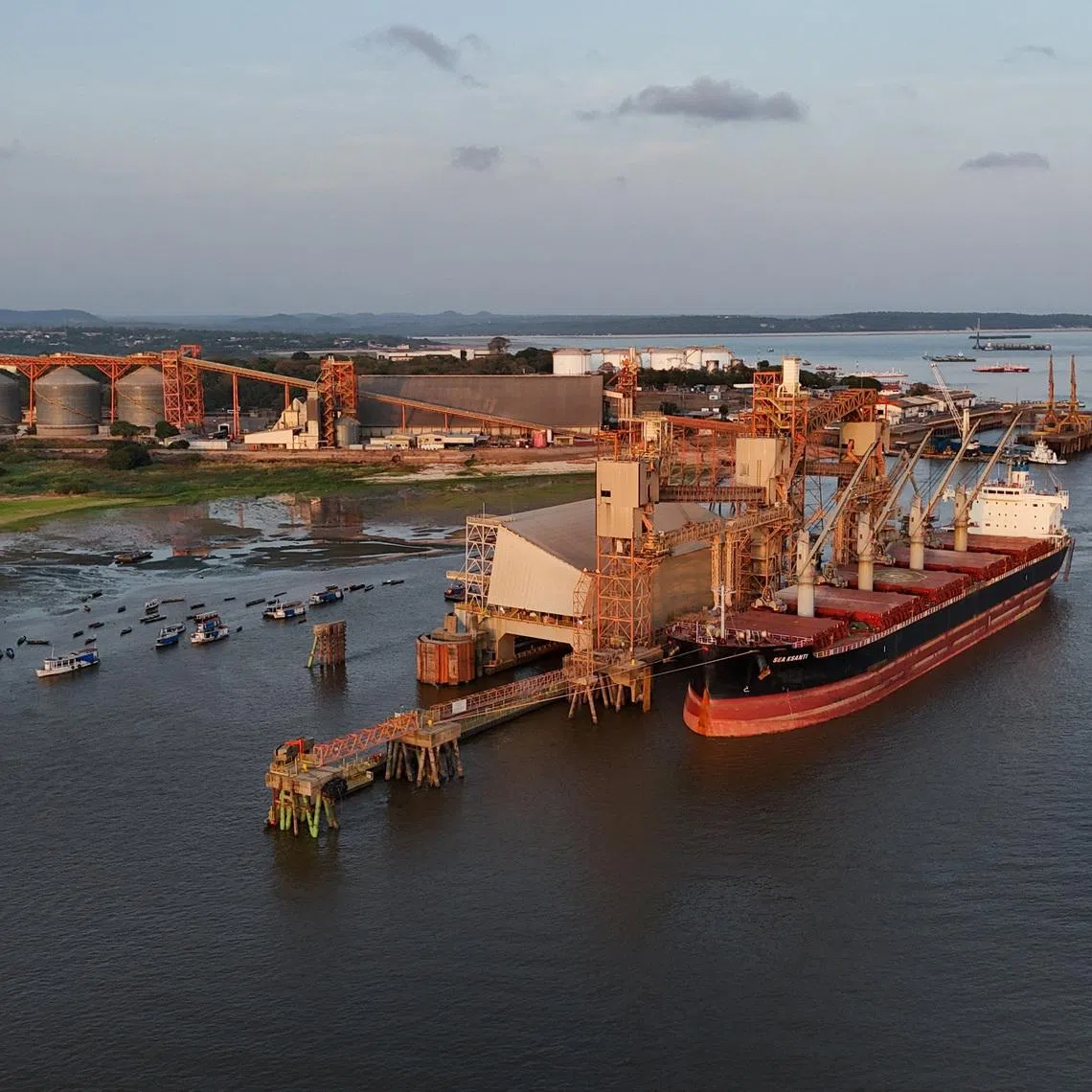 FILE PHOTO: A drone views shows Cargill grain terminal in Santarem, Para state, Brazil October 08, 2024. REUTERS/Amanda Perobelli/File Photo