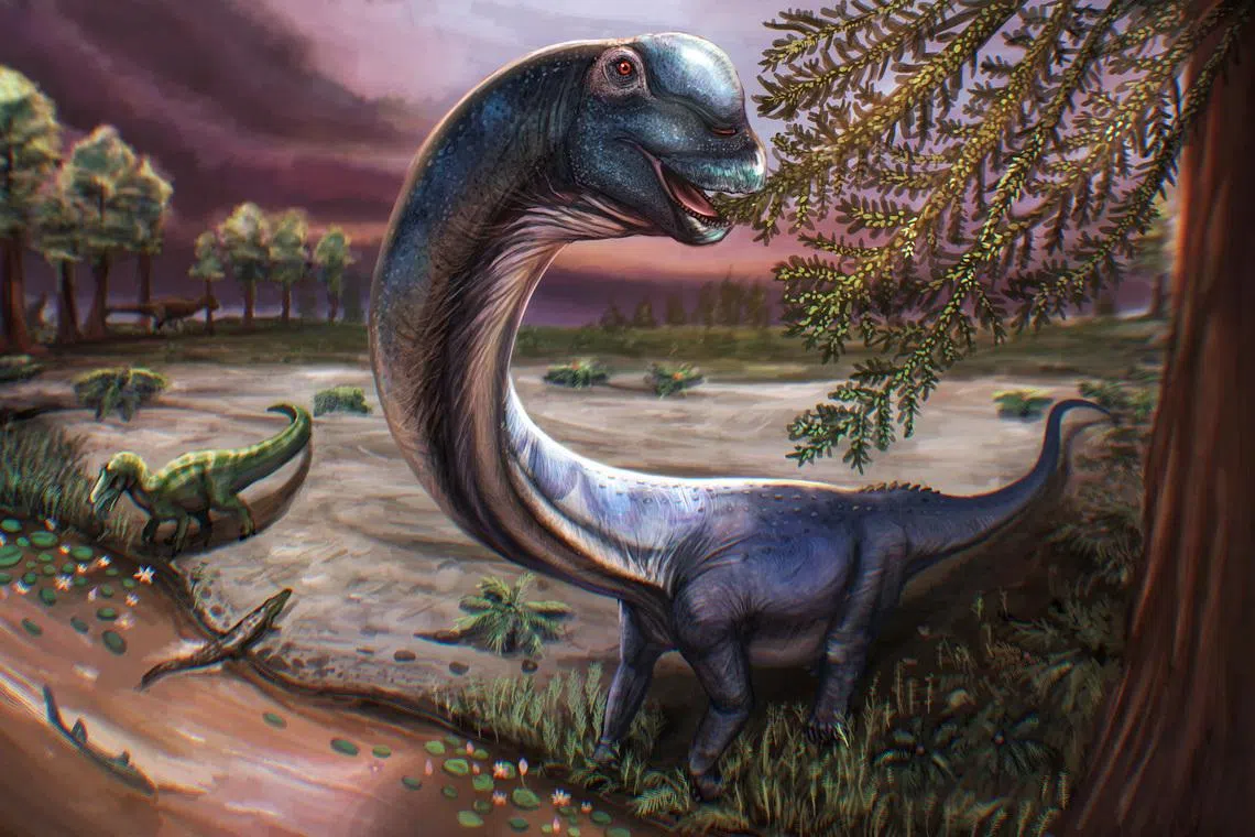 Scientists dig up South-east Asia’s largest dinosaur in Thailand