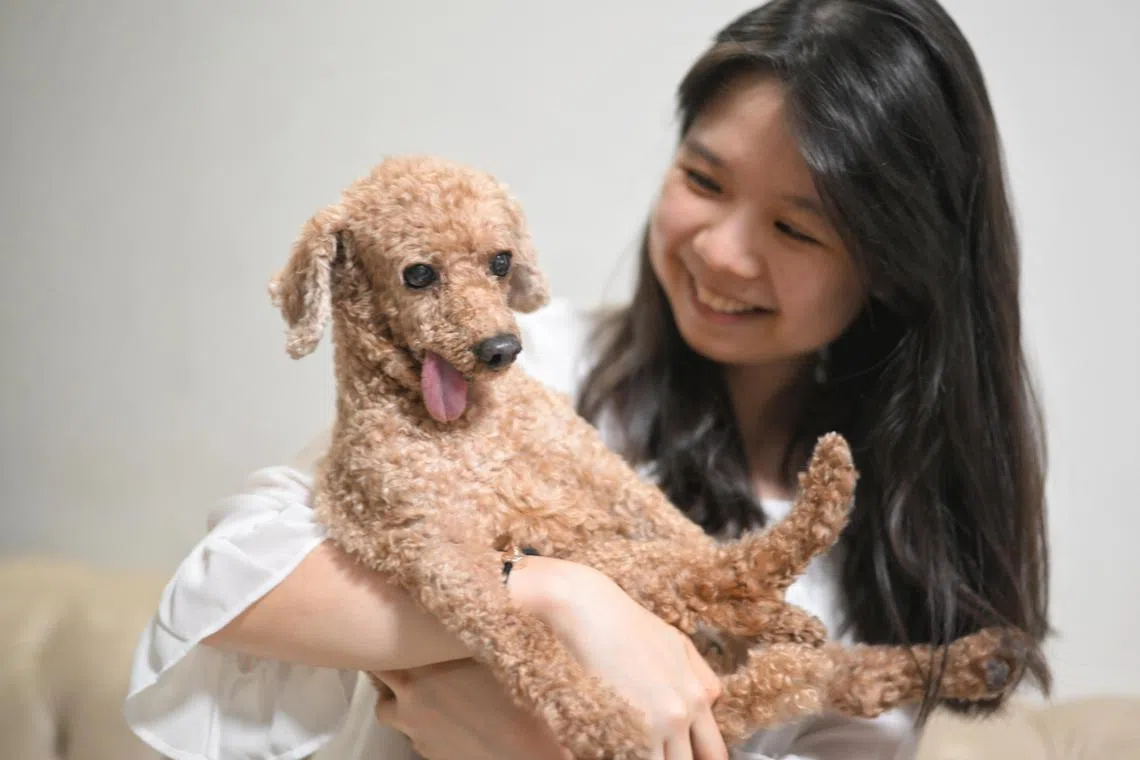 Ms bridget low, 26, assistant manager, with her toy poodle, Oscar.


