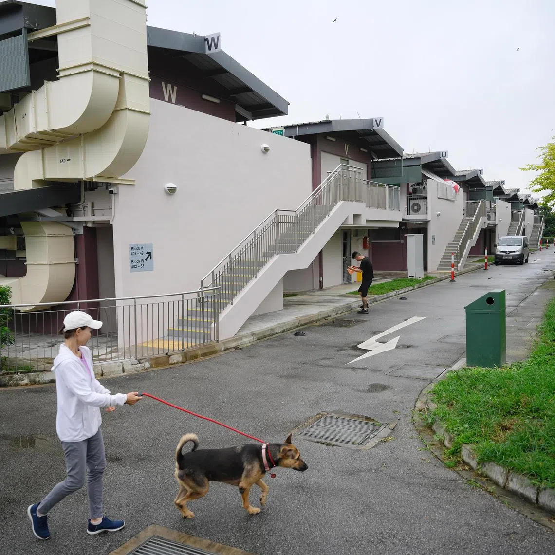 Shelter dogs are walked inside The Animal Lodge at Sungei Tengah on Jan 24, 2025.