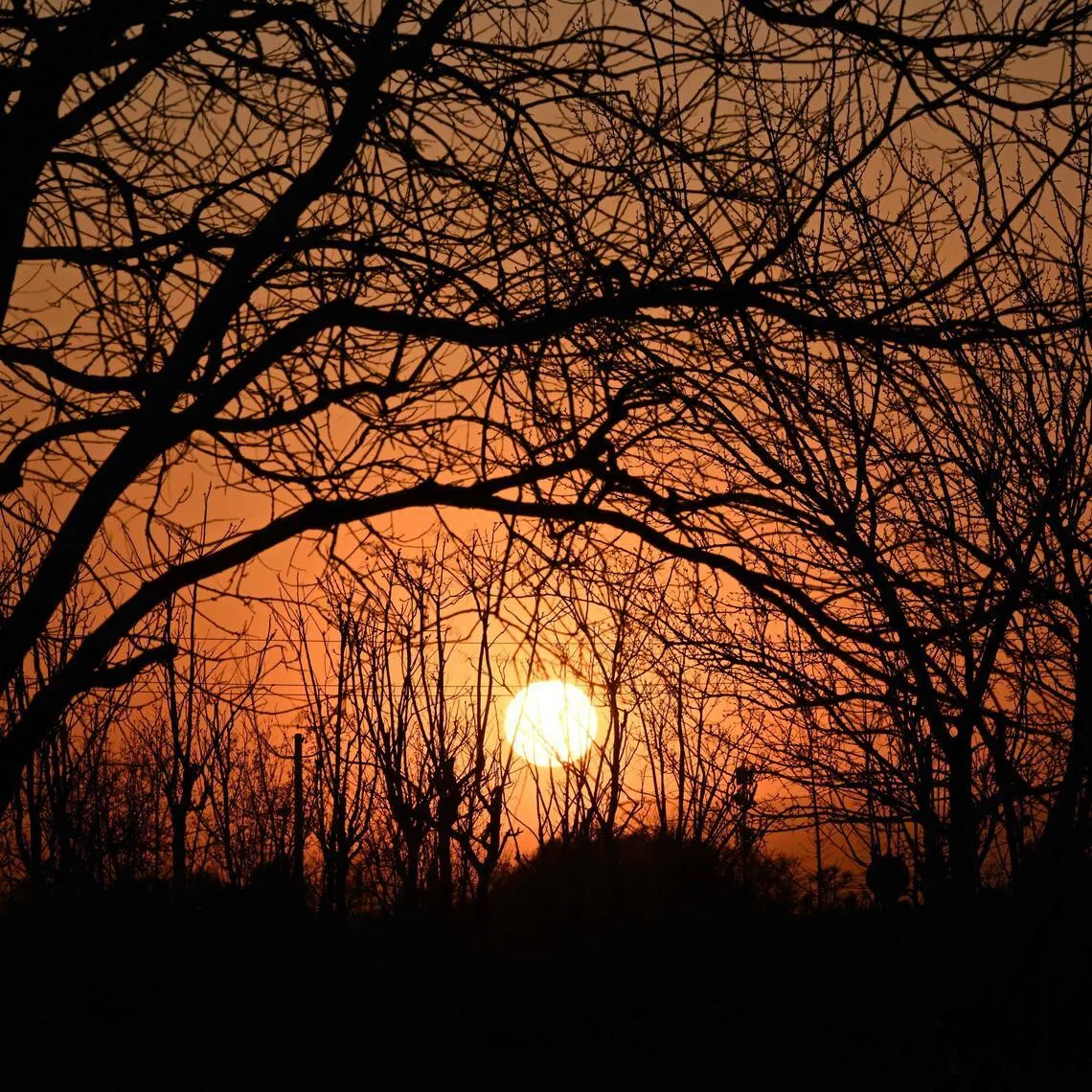 China’s National Climate Centre expects El Nino conditions to emerge in May.