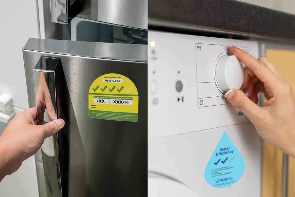 Appliances with at least three ticks are deemed energy-efficient and can be bought using the vouchers under the scheme.