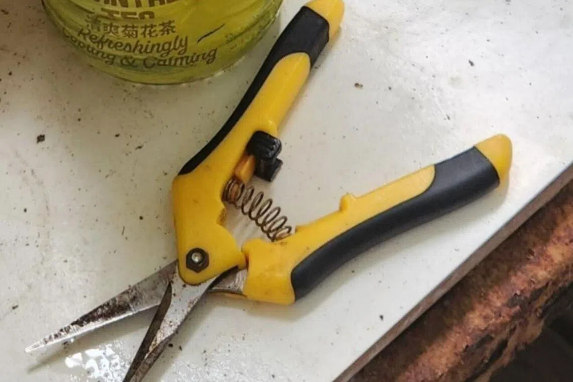 Man arrested for allegedly breaking into Yishun flat
