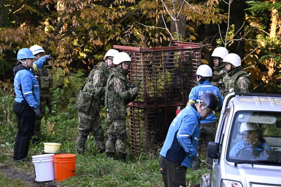 Members of Japan's Self-Defence Forces setting up a bear trap in Kazuno, Akita prefecture, on Nov 5.