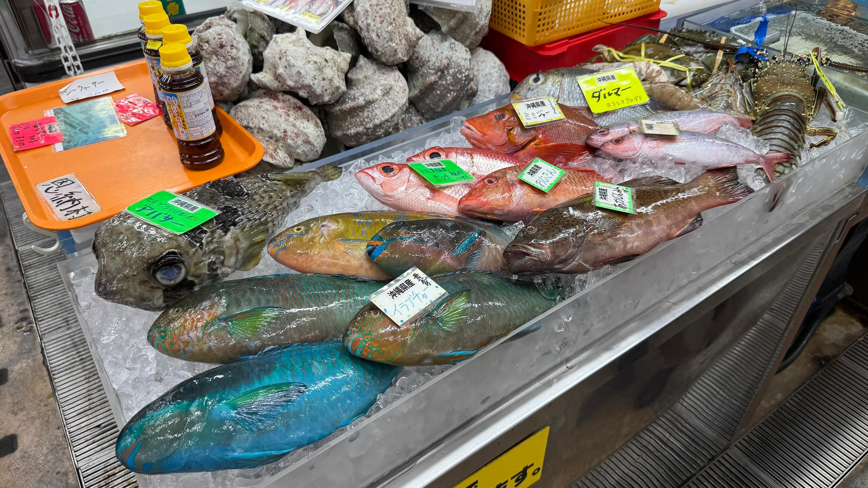 mercado de peixe, Okinawa, frutos do mar, fresco, peixe-papagaio