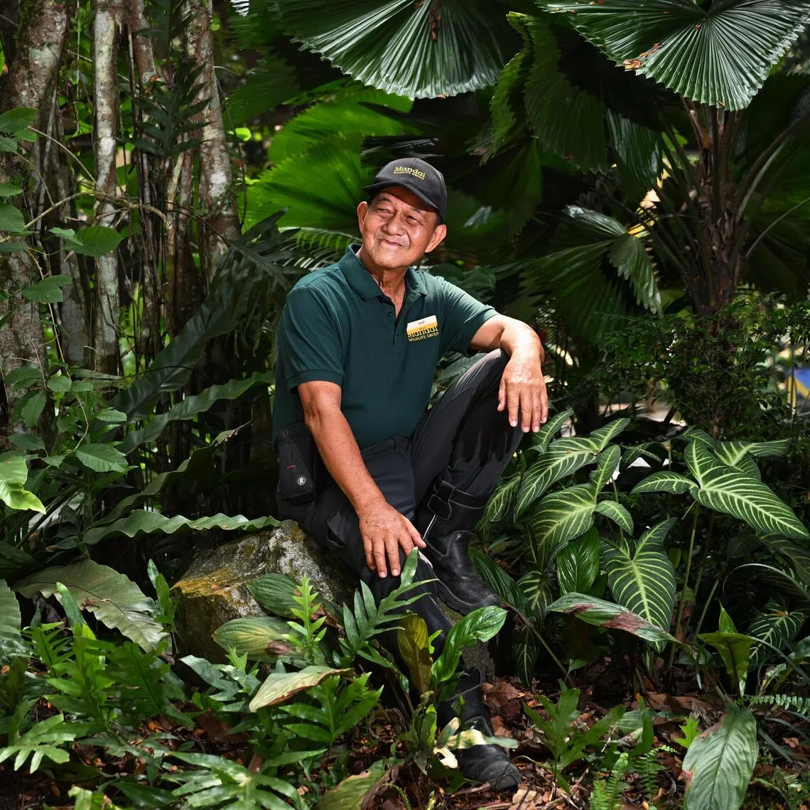 Mandai Wildlife Group assistant manager for horticulture Said Mohamed spent 44 years working with plants and has both their native and biological names at his green fingertips.