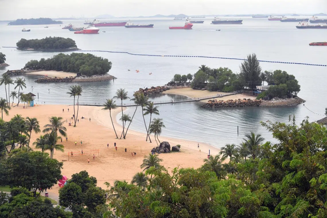 Organiser D1 Racing had booked the space on Siloso Beach for the party, but cancelled the party three days before the event.