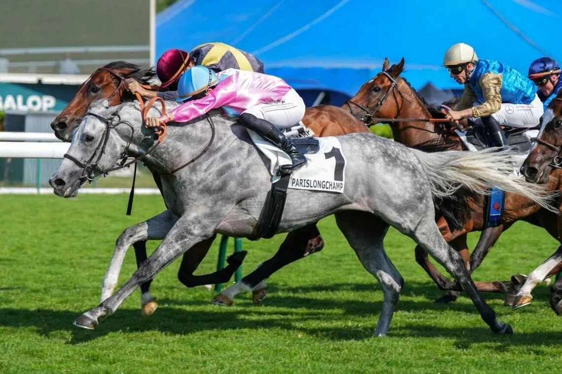 King Gold - King Gold and Stephane Pasquier combining for a third successive win in the Group 3 Prix de la Porte Maillot (1,400m) at ParisLongchamp on June 19, 2025. With Pasquier committed to Royal Ascot, trainer Nicolas Caullery has booked Aureline Lemaitre for the grey's attempt at a record fourth win on June 18.

