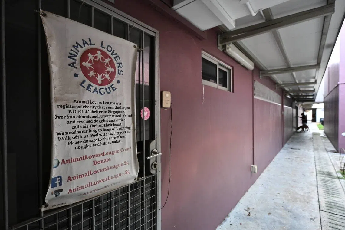 Animal Lovers League has been a tenant at The Animal Lodge, a facility supporting animal welfare groups and independent shelters, since March 2018.