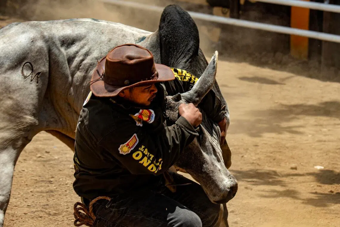A cowboy in action during the rodeo on April 14.