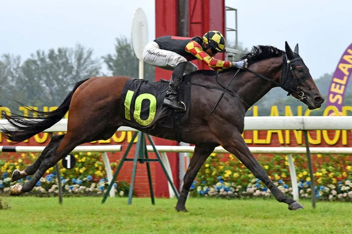 Mega First - Mega First

PHOTO: Selangor Turf Club